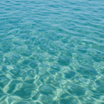 How to Choose Seawater RO Membrane for Your Desalination Plant
