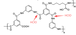 Chemical diagram illustrating how hypochlorous acid (HClO) from chlorine attacks the polyamide structure of a reverse osmosis (RO) membrane, causing irreversible oxidation.